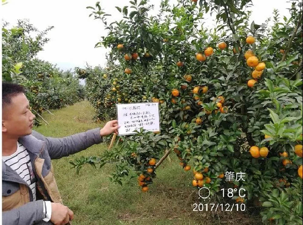 佛山市植寶生態(tài)科技有限公司