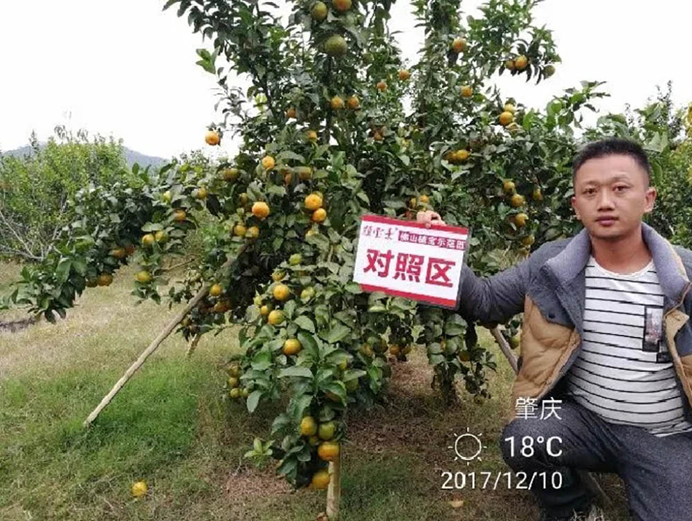 佛山市植寶生態(tài)科技有限公司