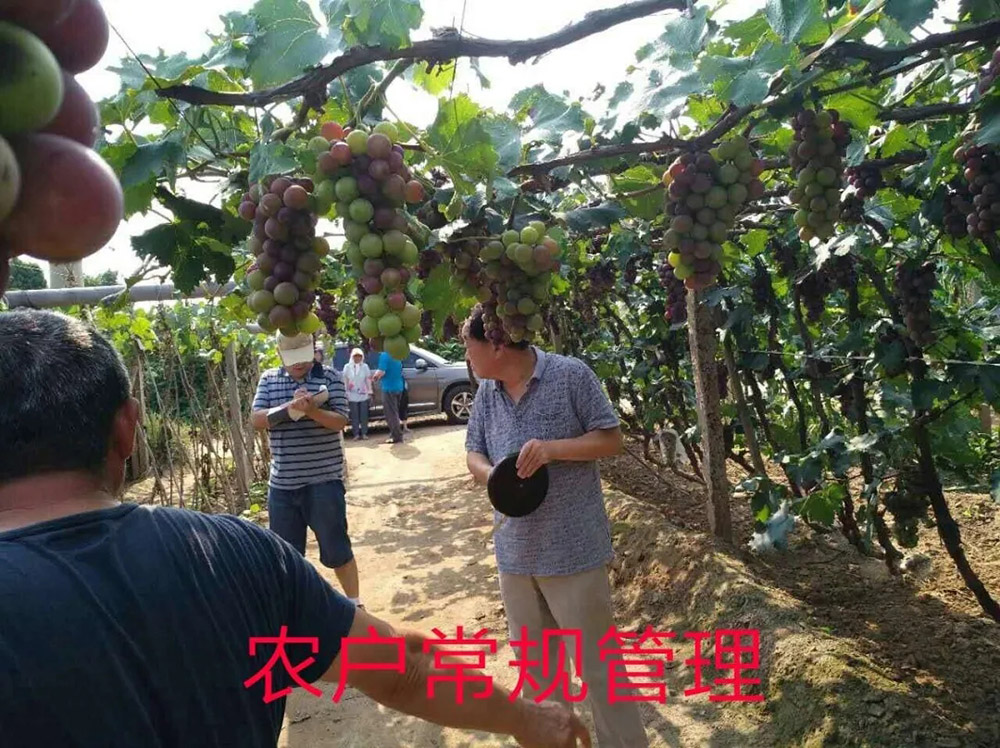 佛山市植寶生態(tài)科技有限公司