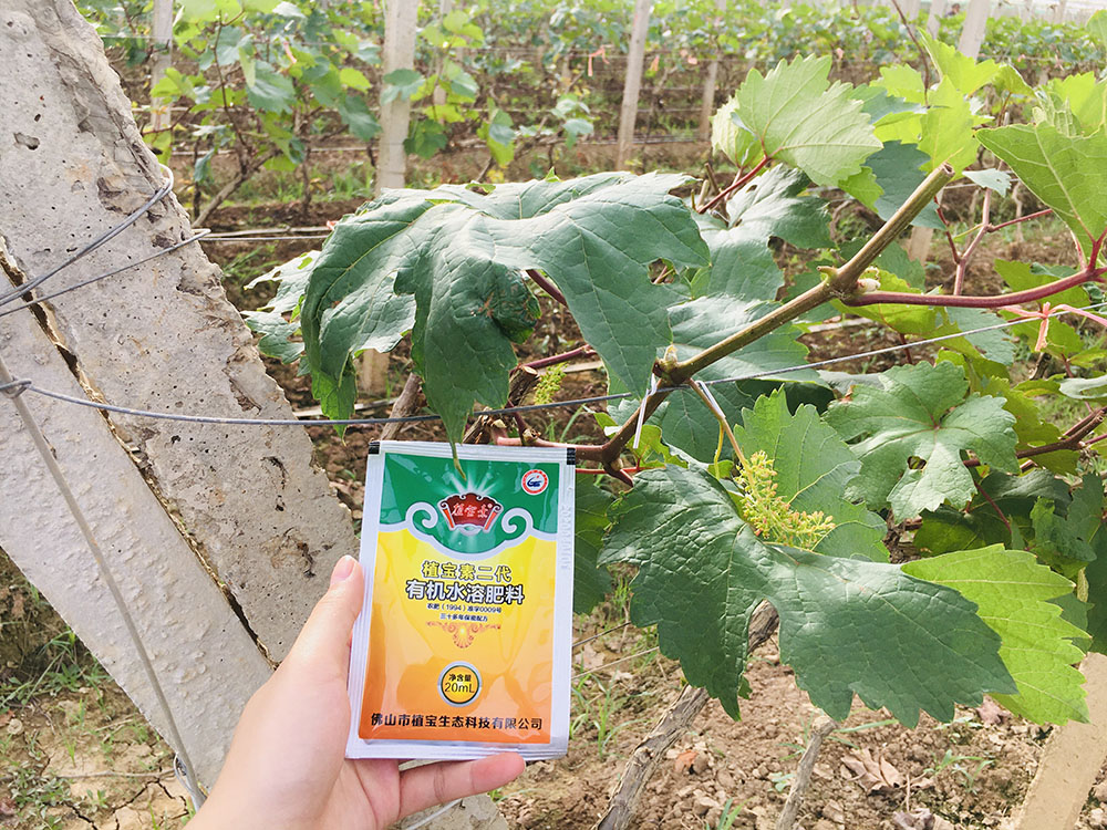 佛山市植寶生態(tài)科技有限公司