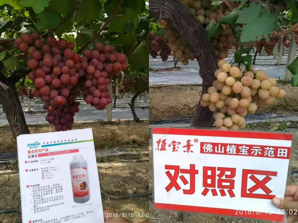 佛山市植寶生態(tài)科技有限公司