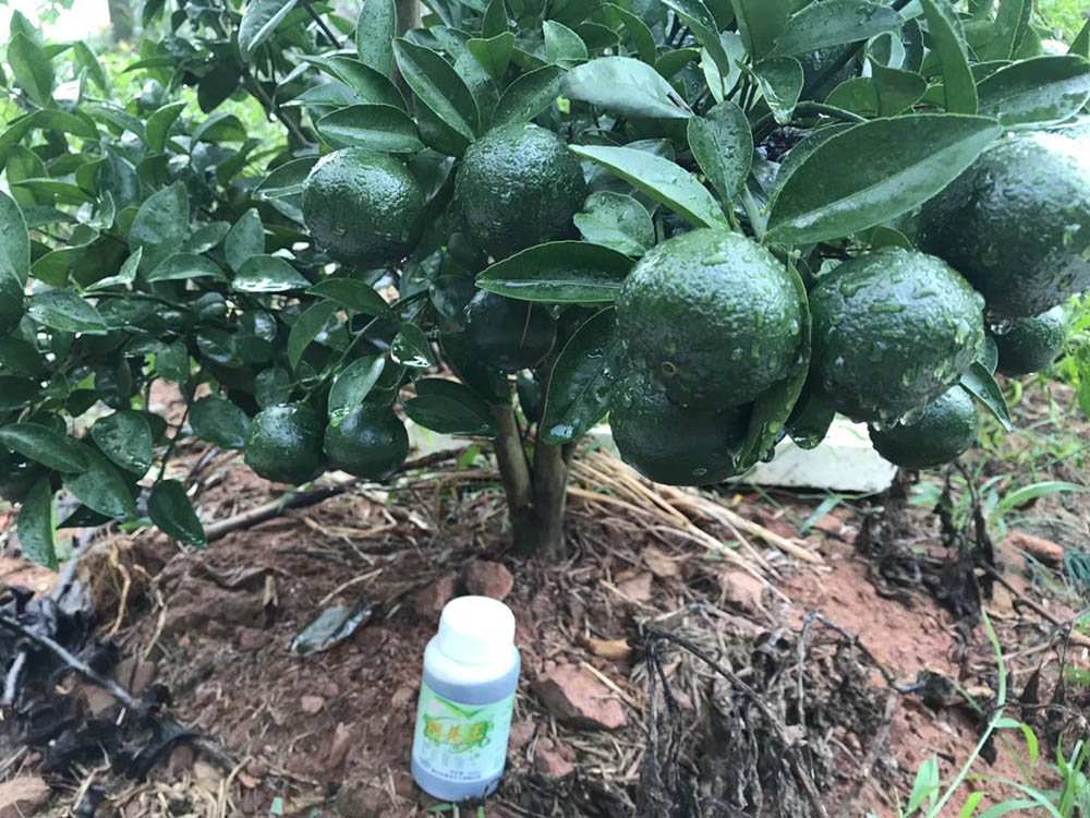 佛山市植寶生態(tài)科技有限公司