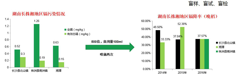 鎘無憂葉面阻控劑
