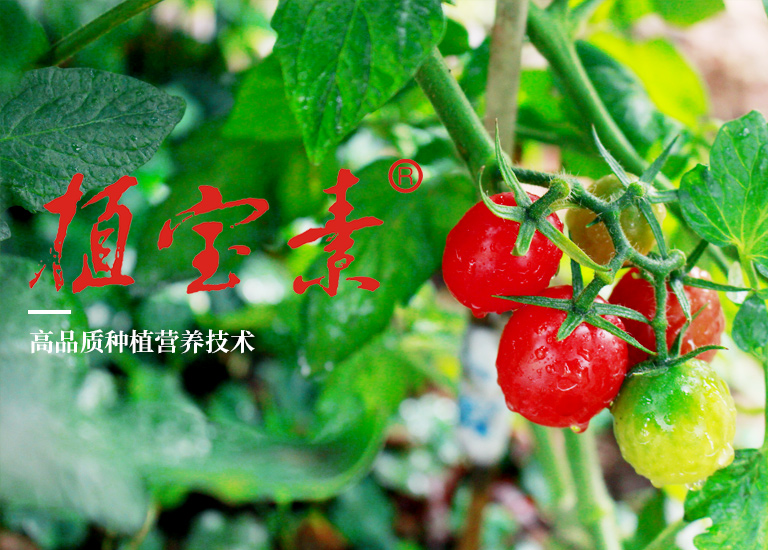農(nóng)用微生物菌劑的特點(diǎn)