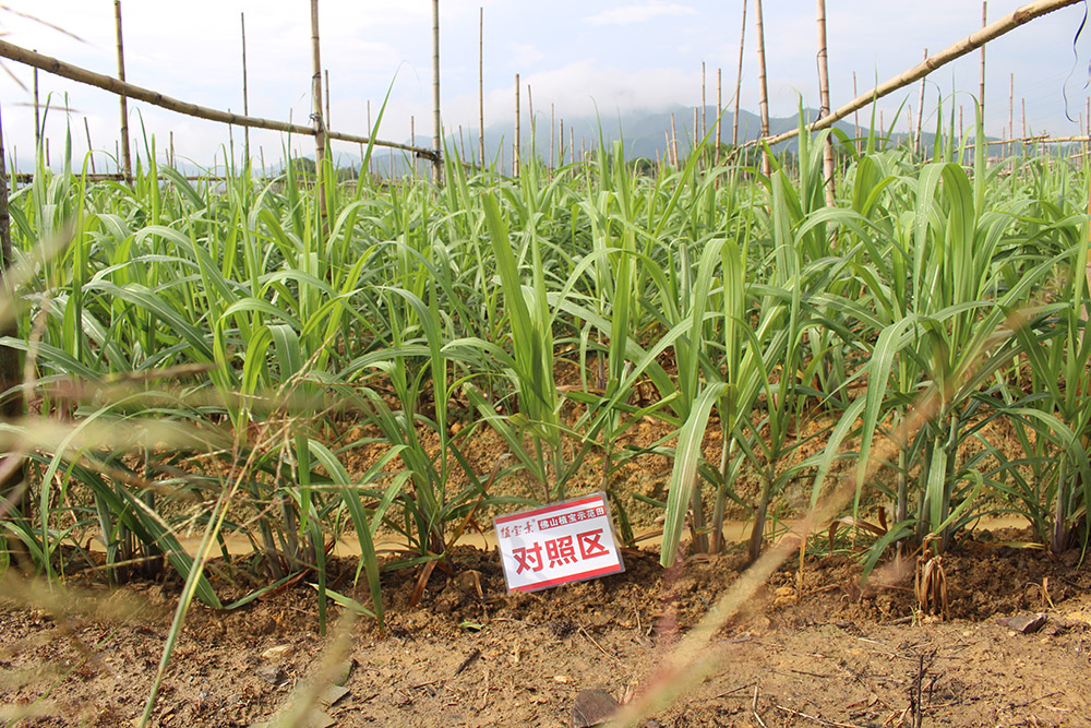 佛山市植寶生態(tài)科技有限公司